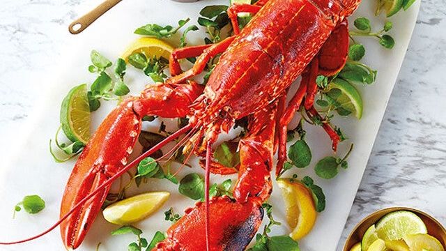 Prepare a Lobster🦞