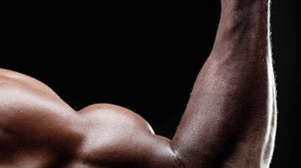 Does eating fish build muscles?