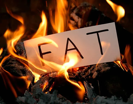 Fat burning Fish dishes