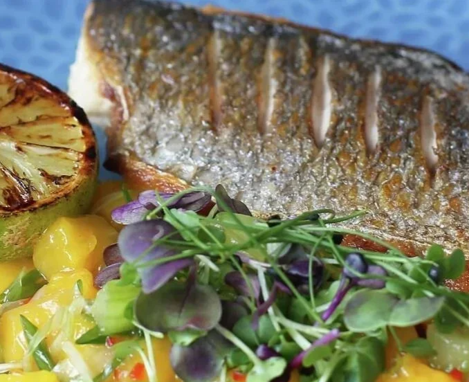 Seabream & Mango