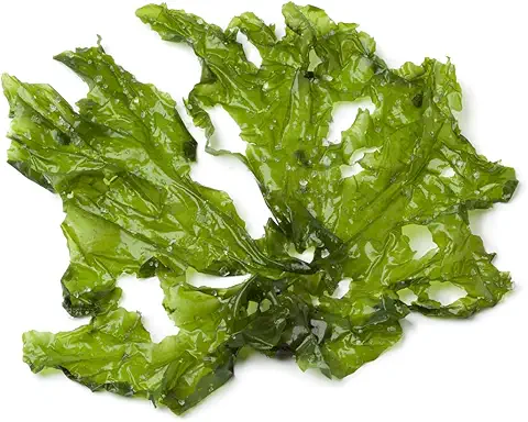 Lettuce Seaweed