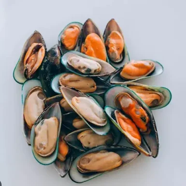 Mussels