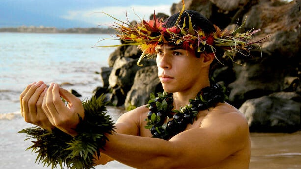 Hawaii Five Oh! Pesca dishes
