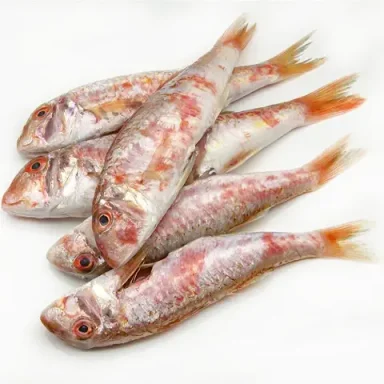 Red Mullet