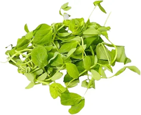 Pea Shoots