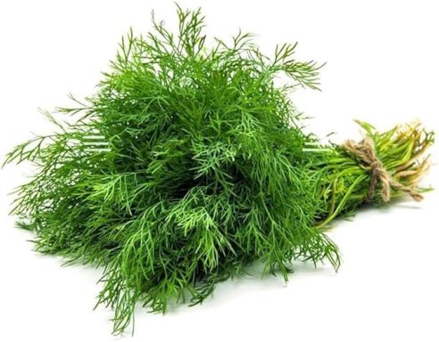 Dill