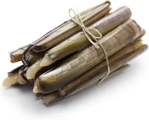 Razor Clams